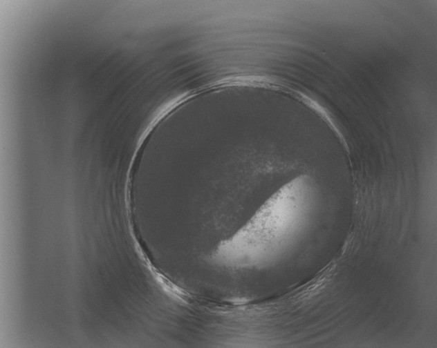 X0000056351050200509021717