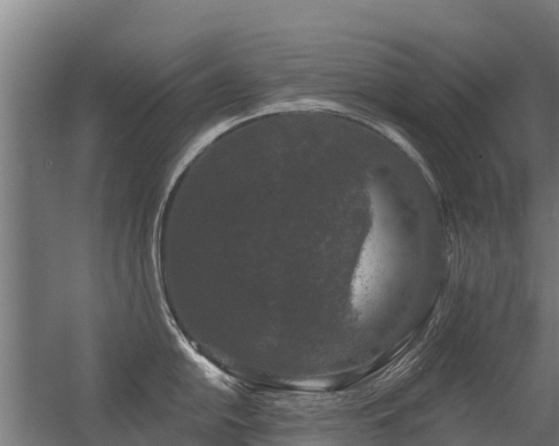 X0000056351054200509021717