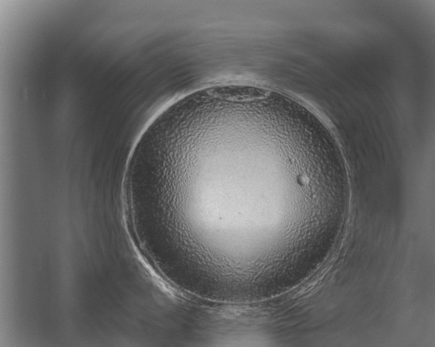 X0000056351056200509021717