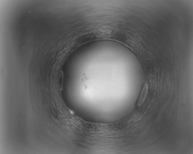 X0000056351057200509021716