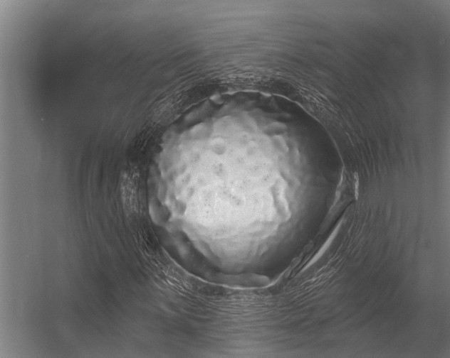 X0000056351059200509021716