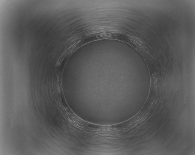 X0000056351060200509021716