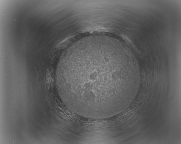 X0000056351063200509021716