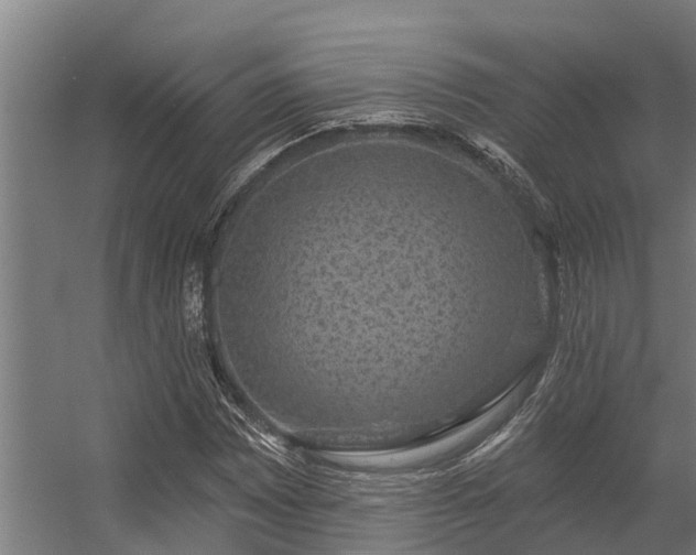 X0000056351065200509021716