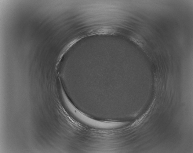 X0000056351066200509021716