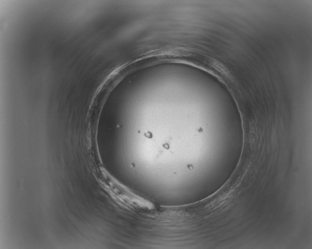 X0000056351067200509021716