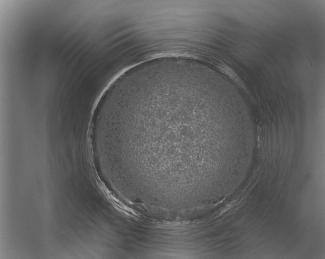 X0000056351068200509021716