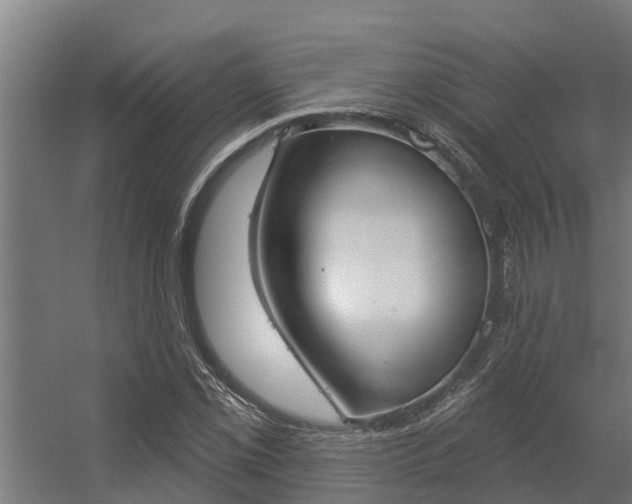 X0000056351069200509021716