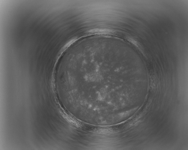 X0000056351074200509021716