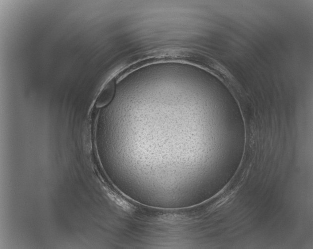 X0000056351075200509021716