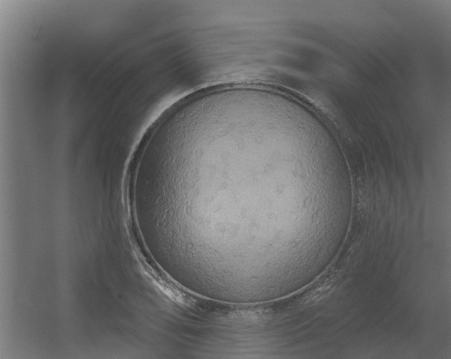 X0000056351078200509021716