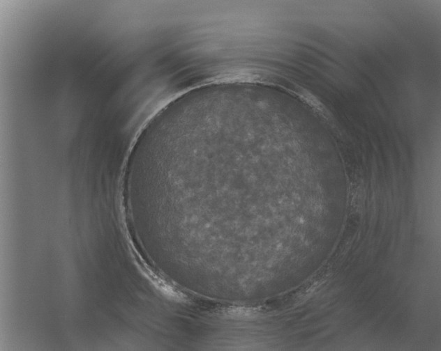 X0000056351086200509021715