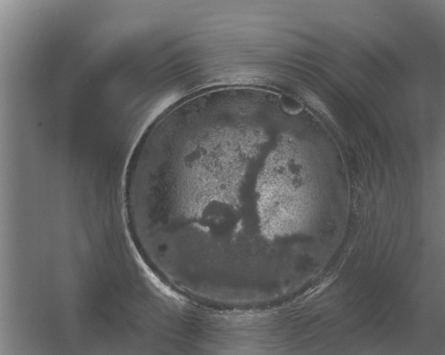 X0000056351087200509021715