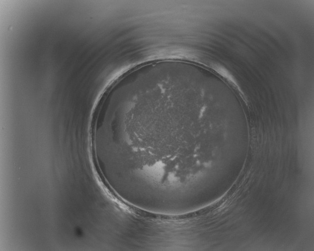 X0000056351088200509021715