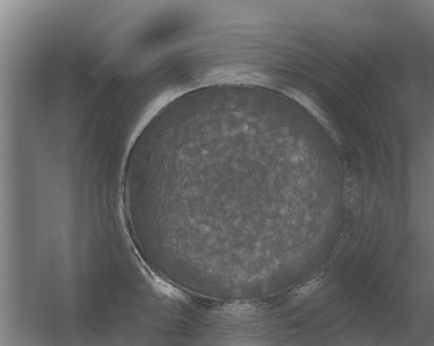 X0000056351094200509021715