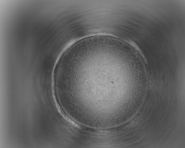 X0000056351096200509021715