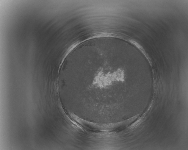 X0000056351097200509021715