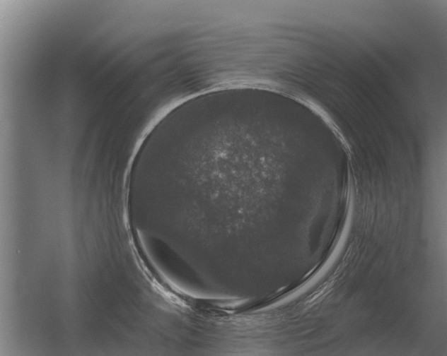 X0000056351102200509021715