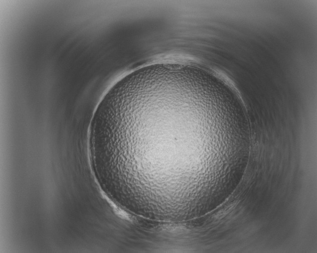 X0000056351103200509021715