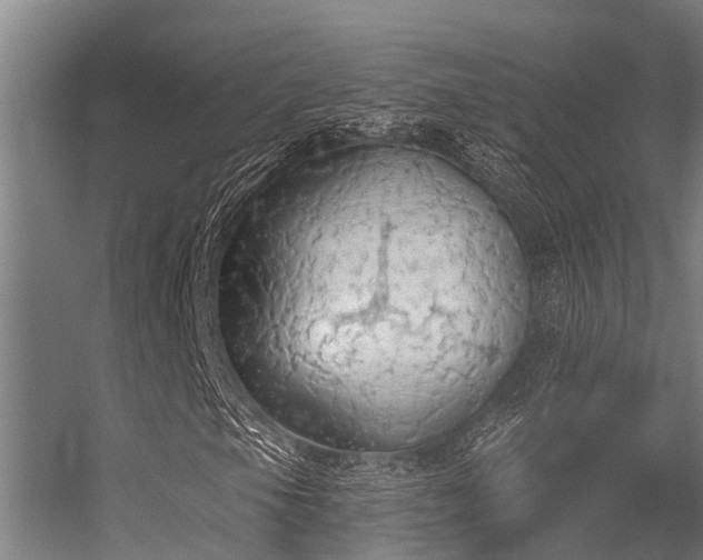 X0000056351105200509021714