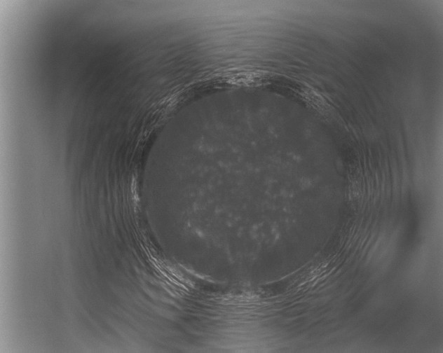 X0000056351106200509021714