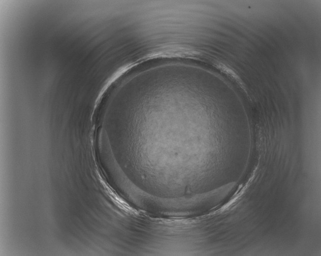 X0000056351114200509021714