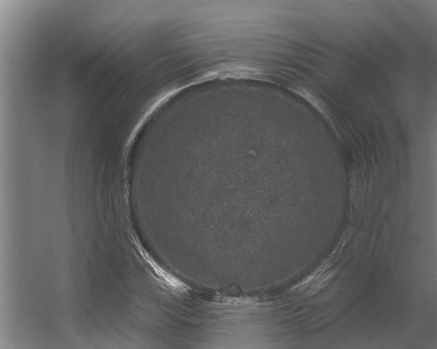 X0000056351115200509021714