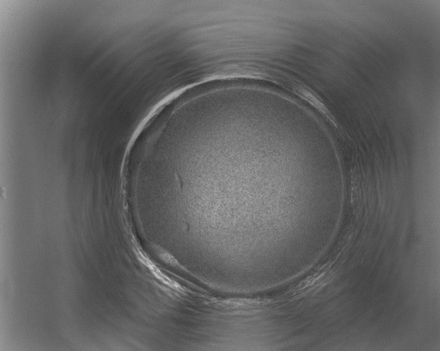 X0000056351116200509021714