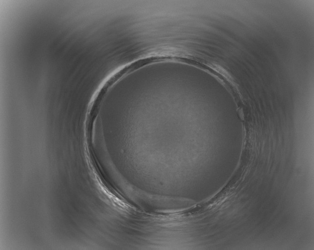 X0000056351120200509021715