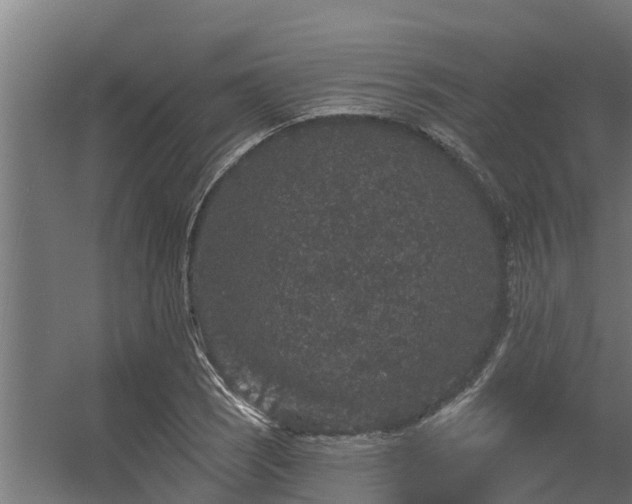 X0000056351121200509021715