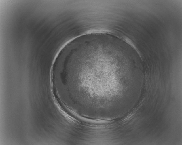 X0000056351124200509021715