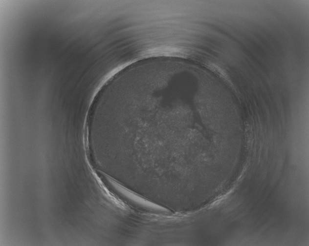 X0000056351125200509021715