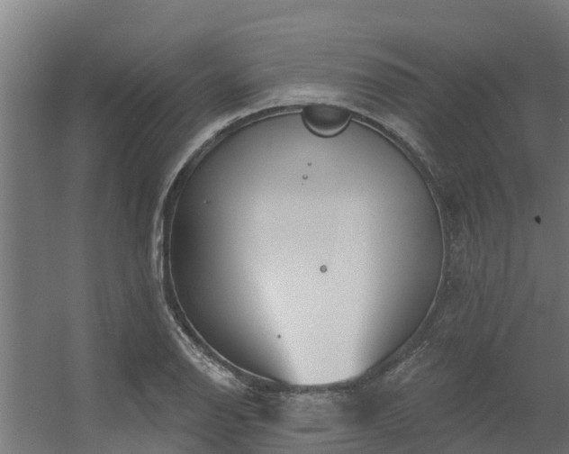 X0000056351126200509021715