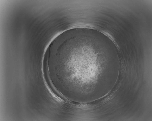 X0000056351128200509021715