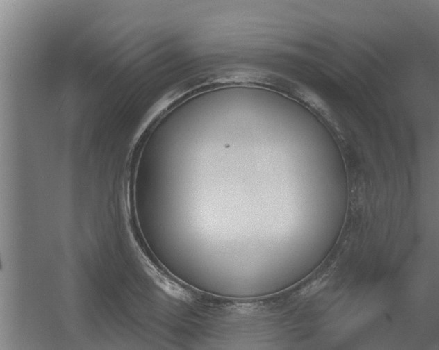 X0000056351130200509021715