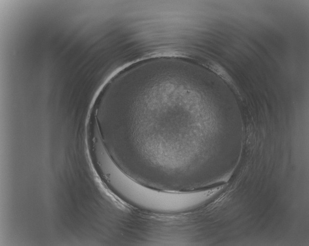 X0000056351132200509021715