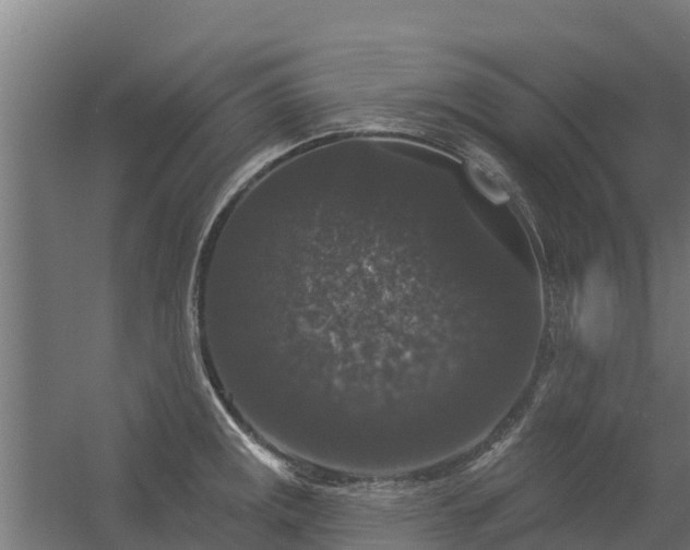 X0000056351141200509021715