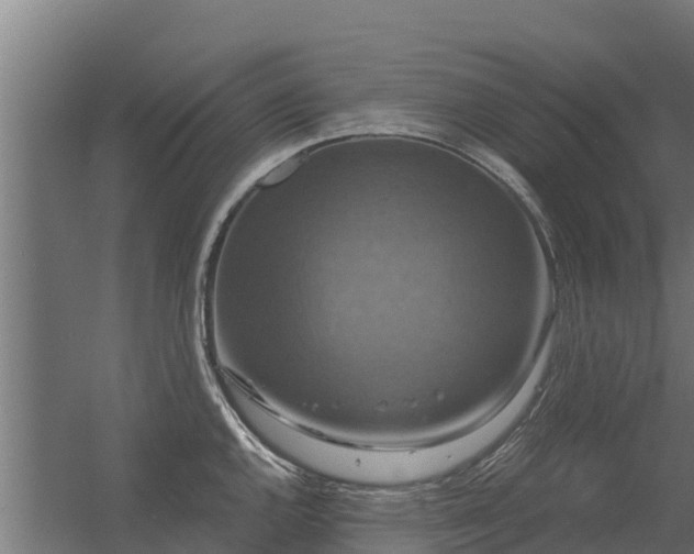 X0000056351144200509021715