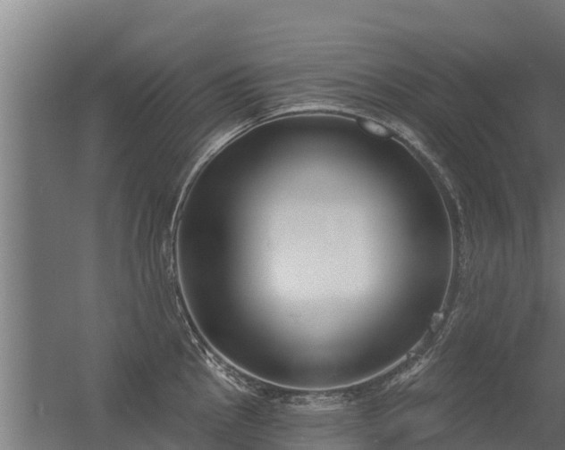 X0000056351145200509021715