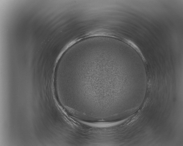 X0000056351146200509021715