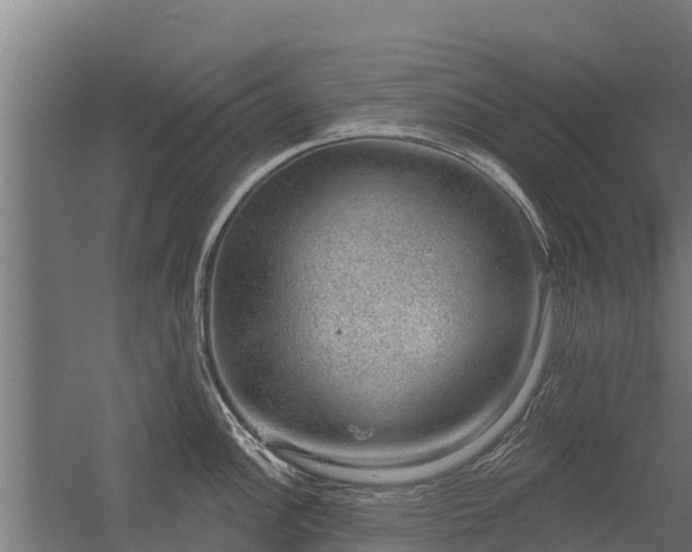 X0000056351148200509021715