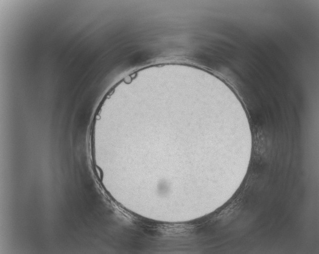 X0000056351150200509021715