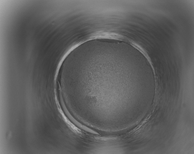 X0000056351152200509021715