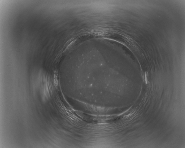 X0000056351155200509021714