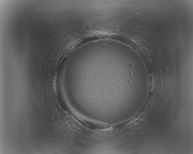 X0000056351157200509021714