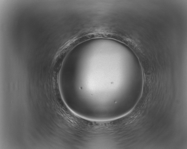 X0000056351159200509021714