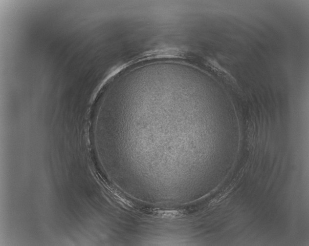 X0000056351166200509021714