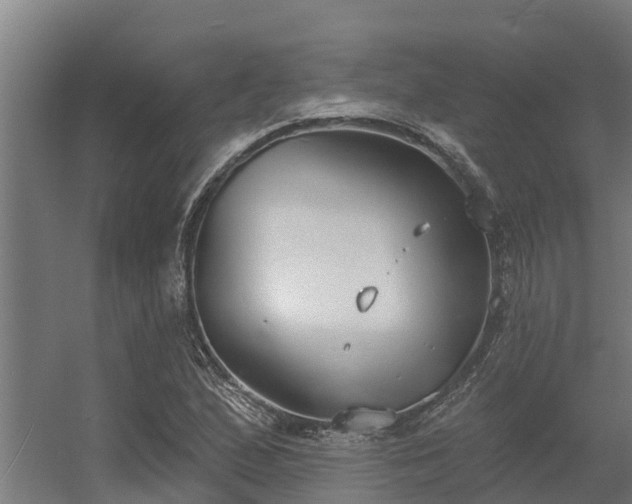 X0000056351167200509021714