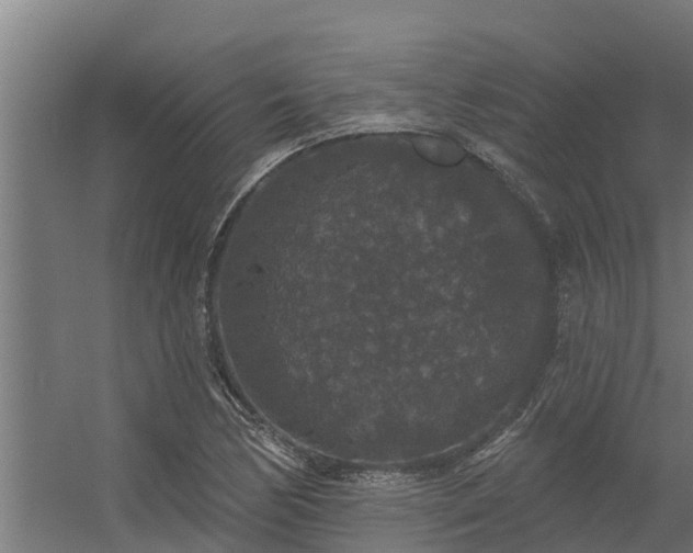 X0000056351170200509021714