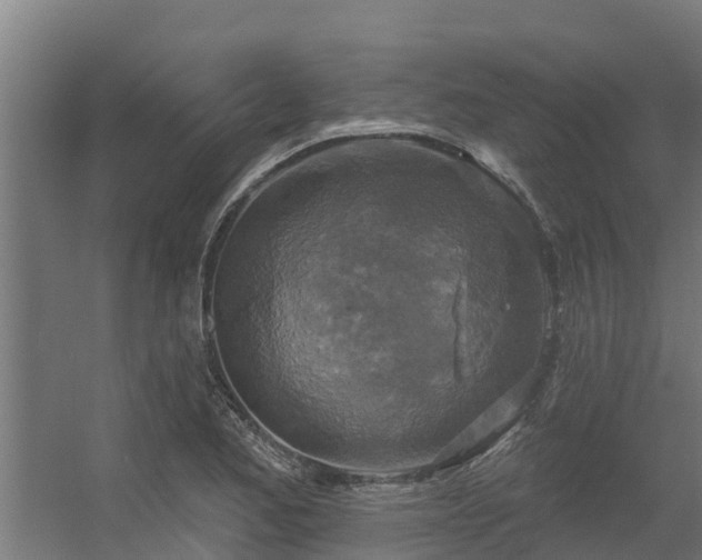 X0000056351173200509021714